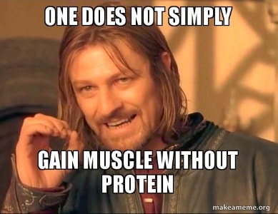 One Does Not Simply Gain Muscle Without Protein (1)