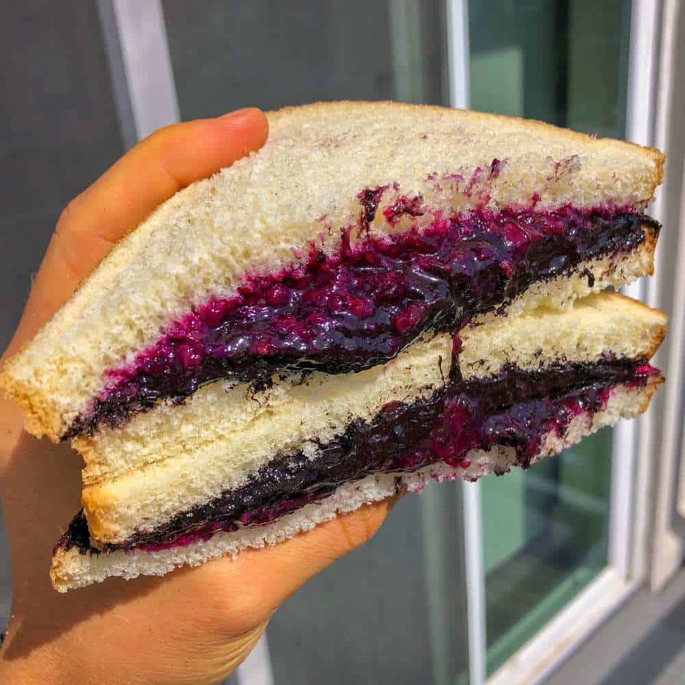 Oreo Cookie Butter & Blueberry Jelly Sandwich