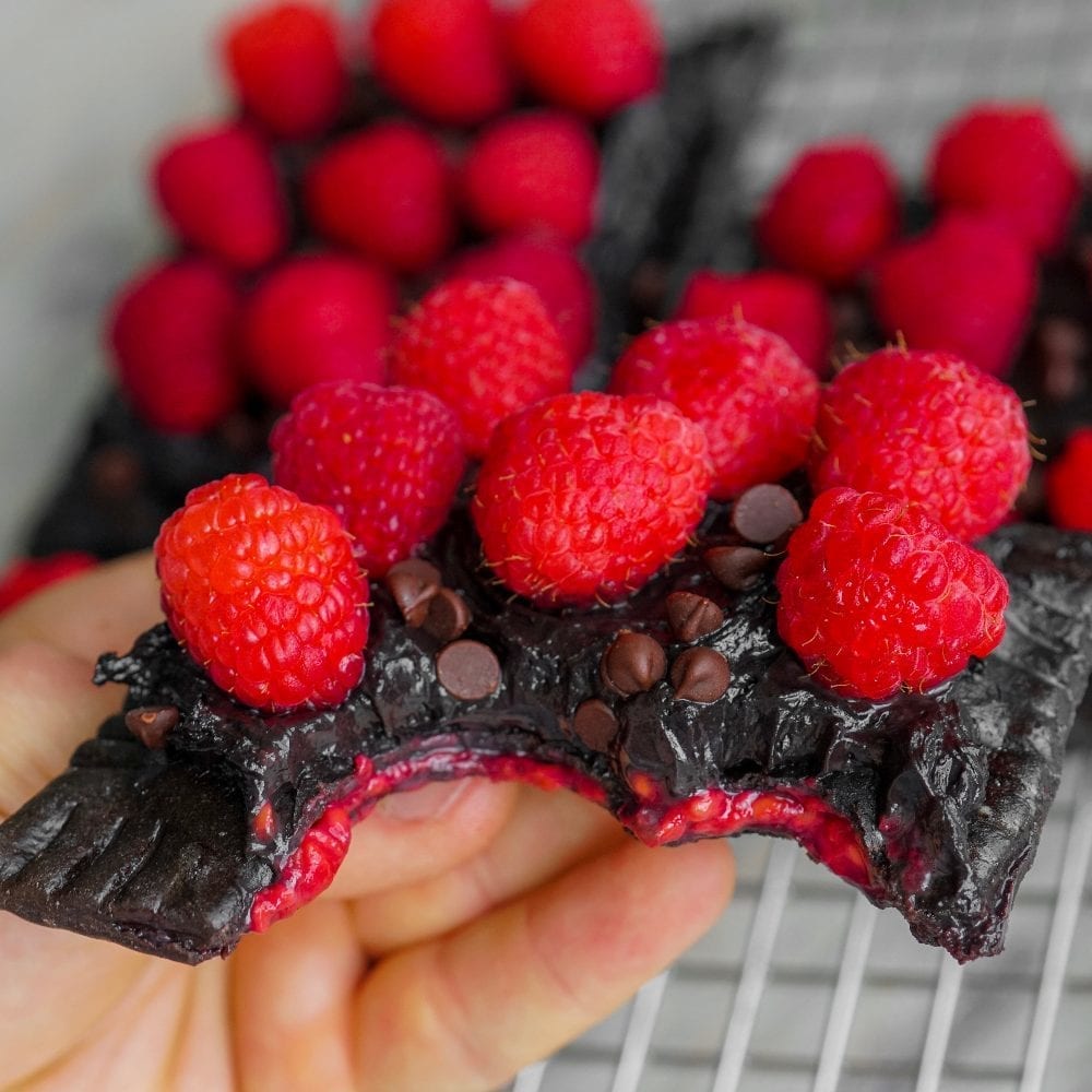 Dark Chocolate Raspberry Protein Pop Tart