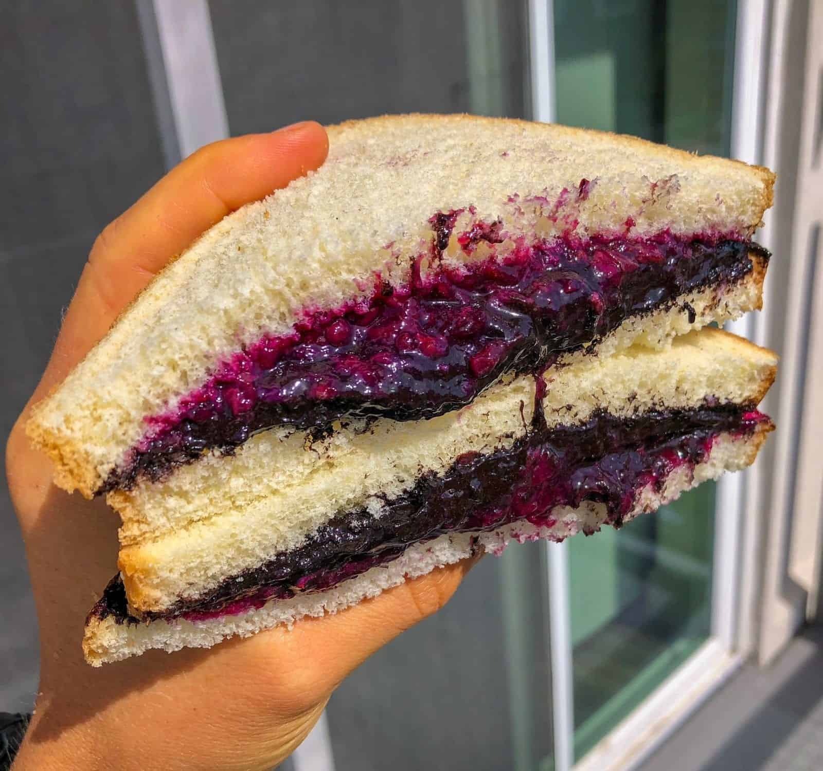 Protein Oreo Butter & Blueberry Jam Sandwich