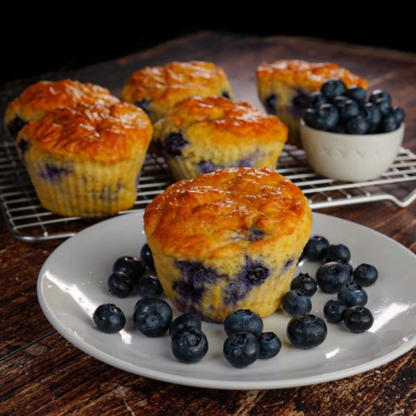 Blueberry Muffin