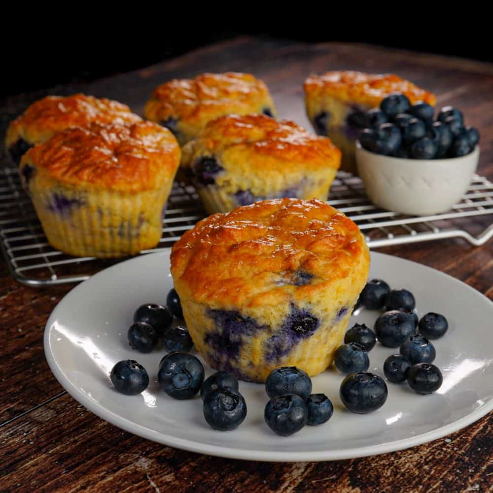 Blueberry Muffin