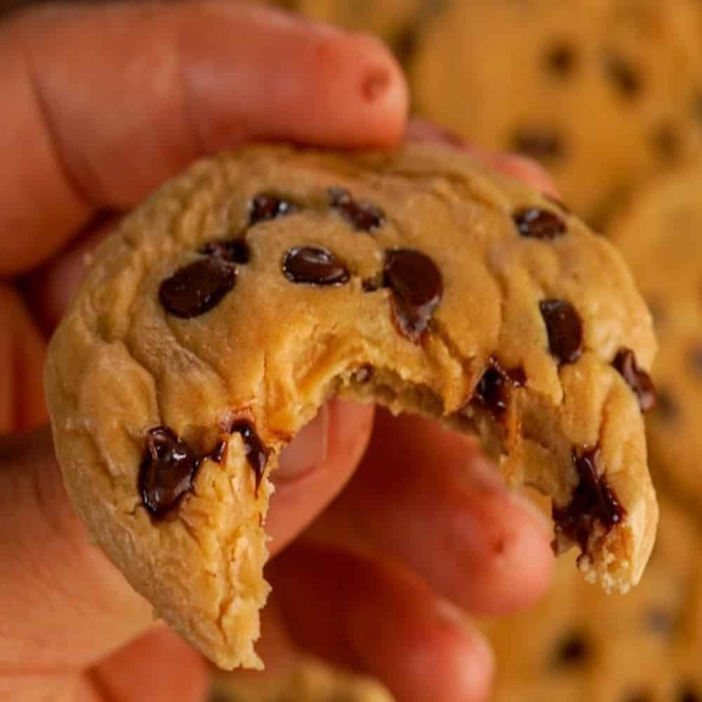 44 Cal Soft & Chewy Chocolate Chip Protein Cookie
