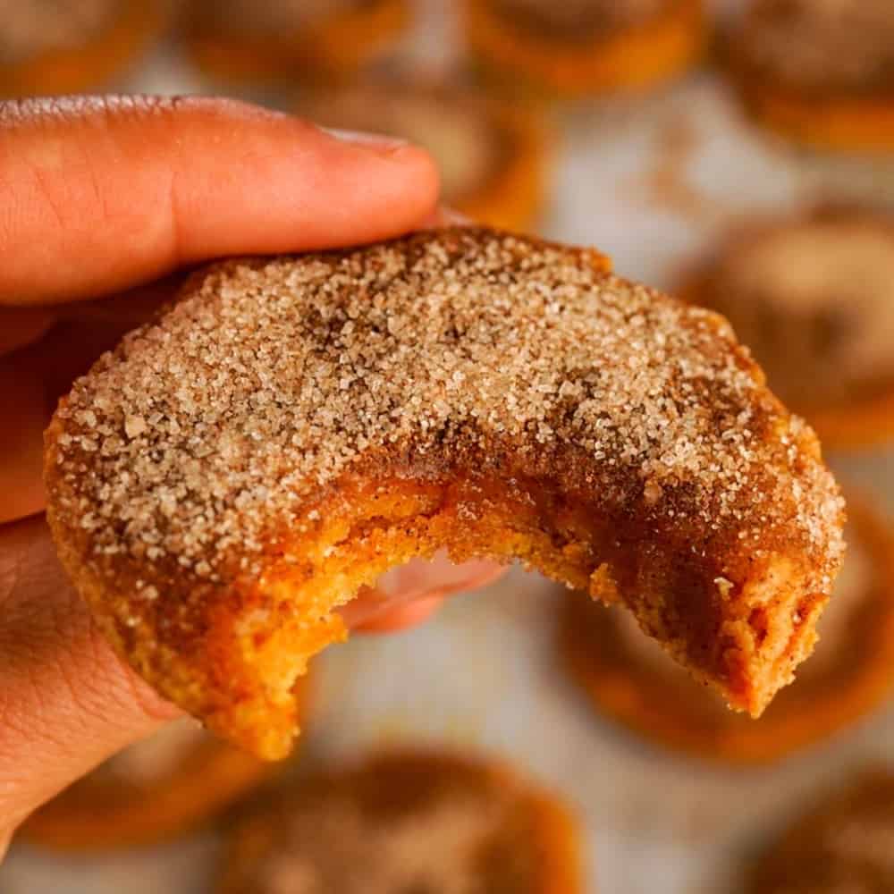 Pumpkin Snickerdoodle Protein Cookie
