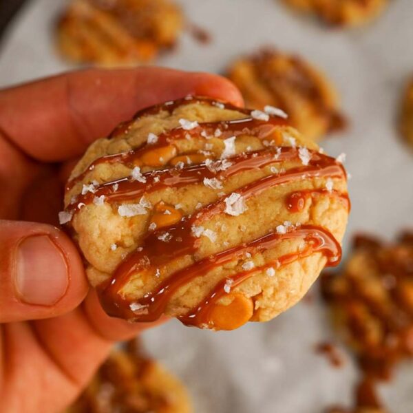 Sea Salt Protein Cookie