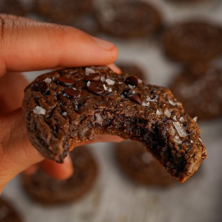 Espresso Chocolate Fudge Sea Salt Protein Cookies
