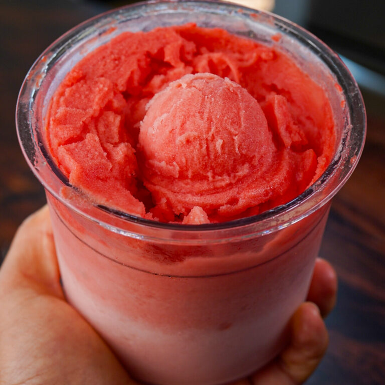 Ninja Creami Sorbet Recipes Frozen Fruit – The Flexible Dieting